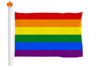 Regenboogvlag
